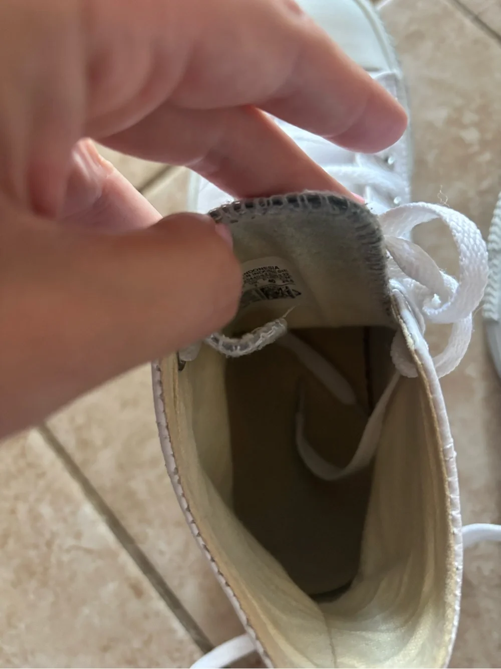 Converse Women's White Trainers